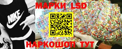 apvp Краснодар