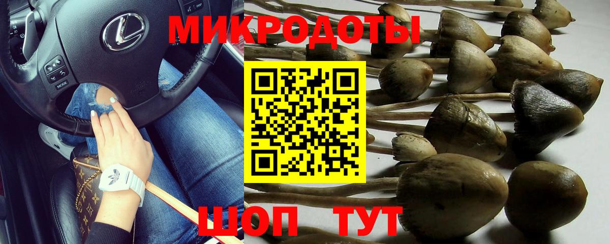 Галлюциногенные грибы GOLDEN TEACHER  Вход с VPN  Галлюциногенные грибы Cubensis  закладка  Коммунар 