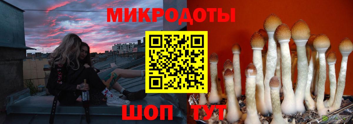 Псилоцибиновые грибы MAGIC MUSHROOMS Коммунар